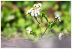 nEO_IMG_S062