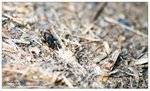 nEO_IMG_S067