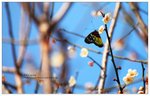 nEO_IMG_S071