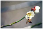 nEO_IMG_S072