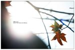 nEO_IMG_S085