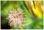 nEO_IMG_S092