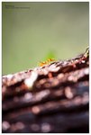 nEO_IMG_S112