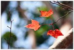 nEO_IMG_S119