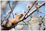nEO_IMG_S121