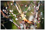 nEO_IMG_S124