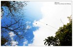 nEO_IMG_S011