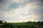repi0719_020