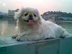 �C���ۥJ