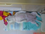 DSC00002
