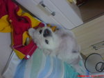 DSC00004