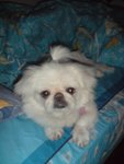 DSC00025