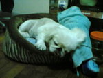 Zzzz