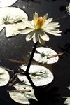 IMG_0024b