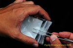 Packing granular gemmae
