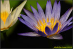 DSC_9494_nEO_IMG