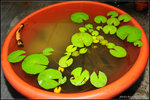 nEO_IMG_DSC_7339