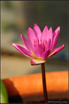nEO_IMG_DSC_7422
