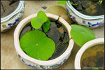 nEO_IMG_DSC_7682