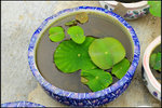 nEO_IMG_DSC_7683