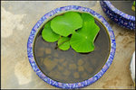 nEO_IMG_DSC_7684