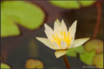 nEO_IMG_DSC_7774