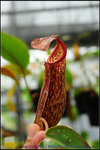 nEO_IMG_DSC_8470