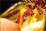 nEO_IMG_DSC_8051