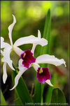 nEO_IMG_DSC_8185