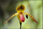 nEO_IMG_DSC_8189