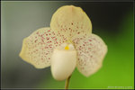 nEO_IMG_DSC_8192
