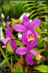 nEO_IMG_DSC_8379
