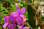 nEO_IMG_DSC_8382