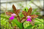 nEO_IMG_DSC_8472