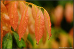 nEO_IMG_DSC_7326