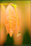 nEO_IMG_DSC_7329
