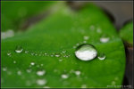 nEO_IMG_DSC_7862