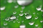nEO_IMG_DSC_7864