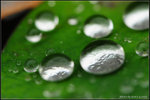 nEO_IMG_DSC_7867
