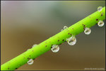 nEO_IMG_DSC_7871