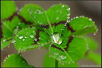 nEO_IMG_DSC_7874