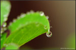 nEO_IMG_DSC_7877