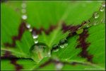 nEO_IMG_DSC_7878