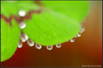nEO_IMG_DSC_7881