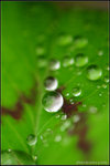 nEO_IMG_DSC_7882