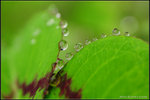 nEO_IMG_DSC_7887