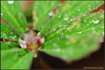 nEO_IMG_DSC_7888