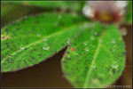 nEO_IMG_DSC_7891
