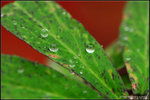 nEO_IMG_DSC_7893