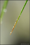 nEO_IMG_DSC_7894